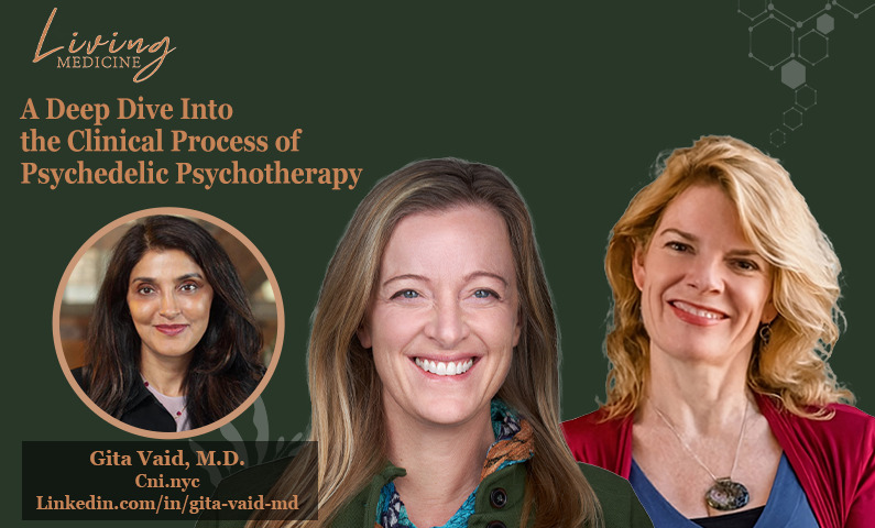 A Deep Dive Into the Clinical Process of Psychedelic Psychotherapy